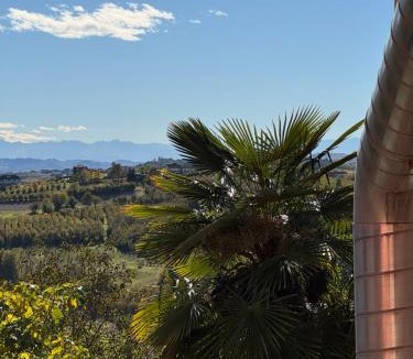 Antignano Apartment | B&B Il glicine