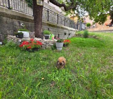 Cascia Apartment | B&B Il Tralcio