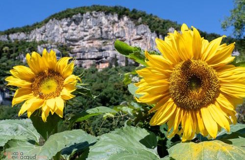 Lumignano Bed & Breakfast | B&B in Valle