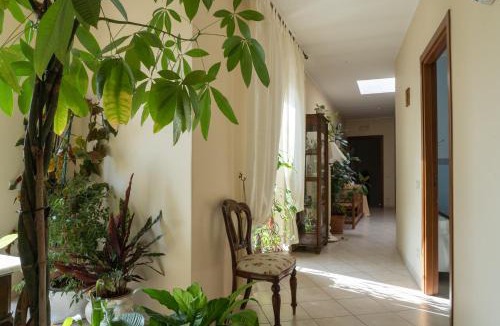 Laterza Bed & Breakfast | B&B Iris
