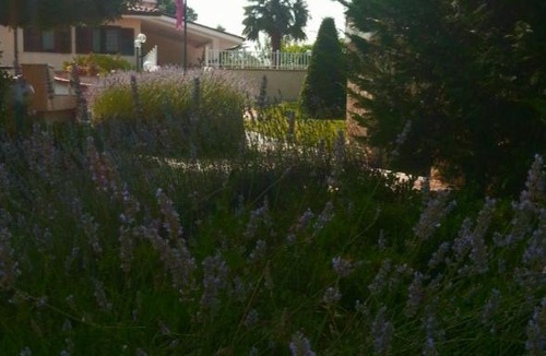 Colleferro Bed & Breakfast | B&B Joy