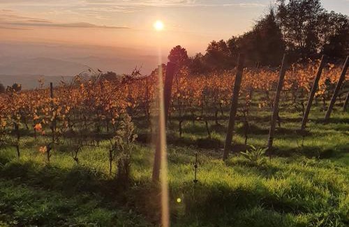 Capraia e Limite Bed & Breakfast | B&B La Casa Di Zefiro