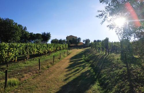 Montecarlo Bed & Breakfast | B&B La Casetta