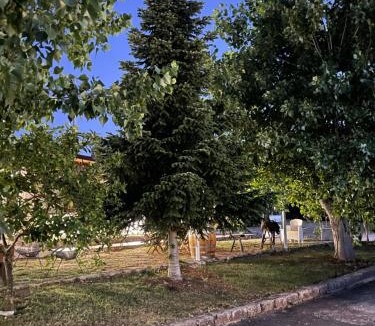 Peschici Bed & Breakfast | B&B La Formichina