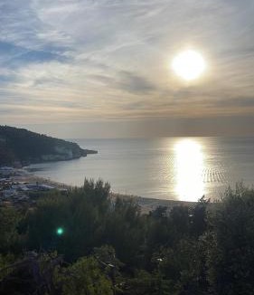Peschici Bed & Breakfast | B&B La Formichina