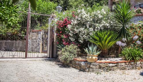 Torchiara Bed & Breakfast | B&B La Residenza Torchiara
