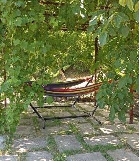 Capolona Bed & Breakfast | B&B Lavanda e Rosmarino