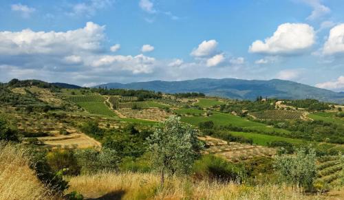Capolona Bed & Breakfast | B&B Lavanda e Rosmarino