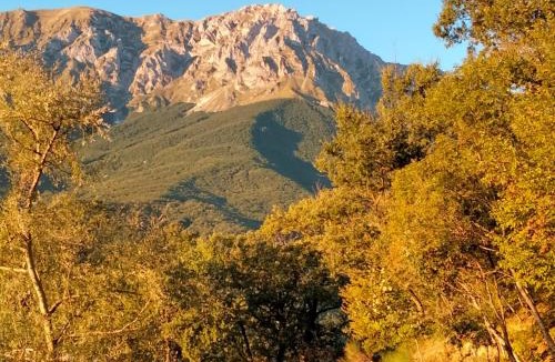 Arsita Bed & Breakfast | B&B Le Ginestre