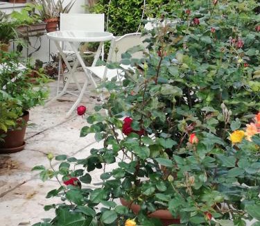 Castagnole Bed & Breakfast | B&B LE ORTENSIE