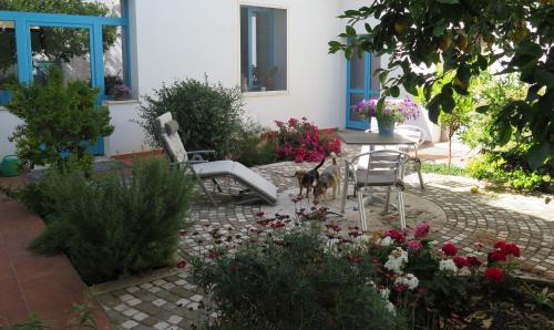 Monserrato Bed & Breakfast | B&b-Le Rondini