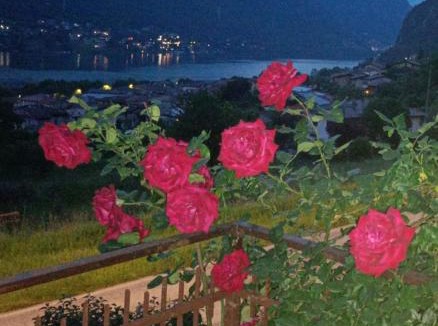 Crone House | B&B le rose