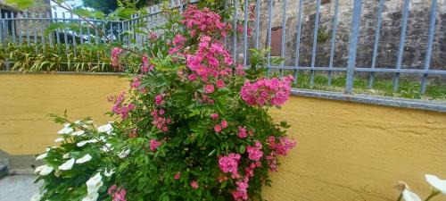 Sant'Agata Feltria Apartment | B&B Leonda