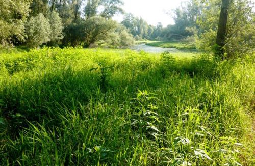 Curtarolo Bed & Breakfast | B&B Maison Parco Del Brenta