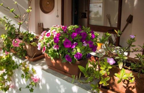 San Vito Bed & Breakfast | B&B Martina