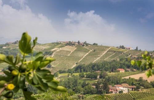 Mango Bed & Breakfast | B&B Miellò nelle Langhe