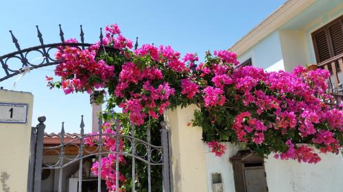 Mandas Bed & Breakfast | B&B Mitzixeddas