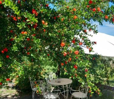 Borgoratto Mormorolo Bed & Breakfast | B&B Oasi di pace