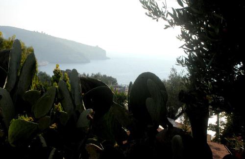 Palinuro Bed & Breakfast | b&b palinuro holiday