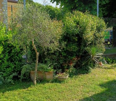 Vaccarolo Bed & Breakfast | B&B Porte Rosse