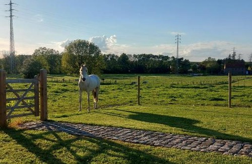 Waanrode Bed & Breakfast | B&B Roos 14