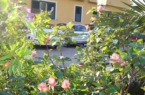 Caltanissetta Villa | B & B S. ELIA room RIVIERA: LOVELY VILLA SURROUNDED IN HISTORICAL PARK DUBINI