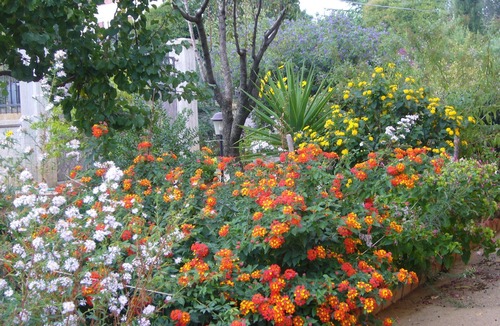 Caltanissetta Villa | B & B S. ELIA room RIVIERA: LOVELY VILLA SURROUNDED IN HISTORICAL PARK DUBINI
