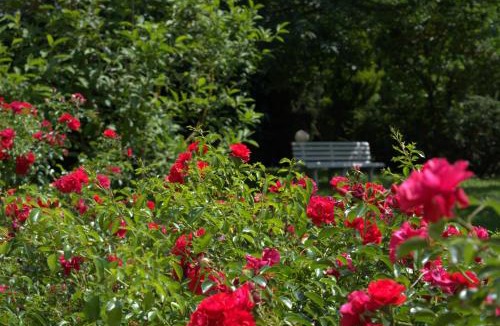 Valmontone Bed & Breakfast | B&B Terra del Sole