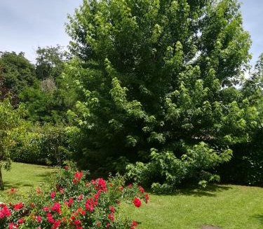 Valmontone Bed & Breakfast | B&B Terra del Sole