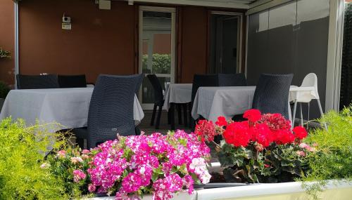 Santa Maria Novella Bed & Breakfast | B&B Terrazza Belfiore