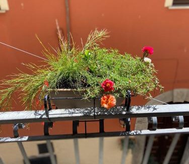 Viggianello Bed & Breakfast | B&B Via Roma