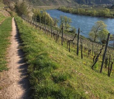 Punderich Bed & Breakfast | B&B Villa Altero