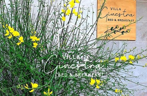 Pescara House | B&B Villa Ginestra