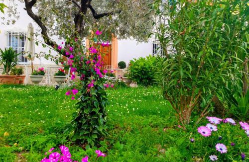Lucca Historical Center Bed & Breakfast | B&B Villa Lula Lucca
