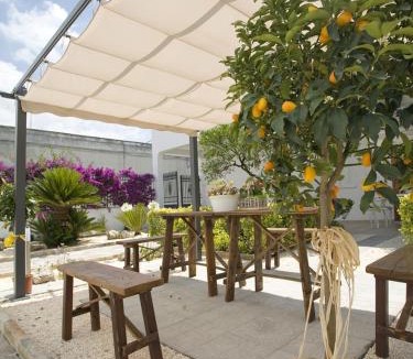 Campi Salentina Bed & Breakfast | B&B Virò