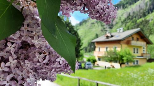 Predazzo Bed & Breakfast | B&BeautyFol Dolomites B&B adults only