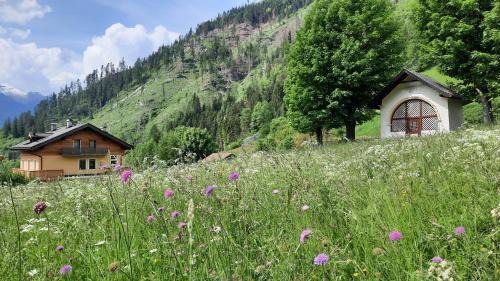 Predazzo Bed & Breakfast | B&BeautyFol Dolomites B&B adults only