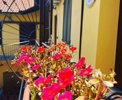 Magenta Bed & Breakfast | B&Bi13