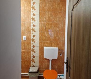 Busteni Villa | B House Bușteni