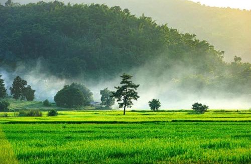 Tha Sut House | Baan Sin Suk