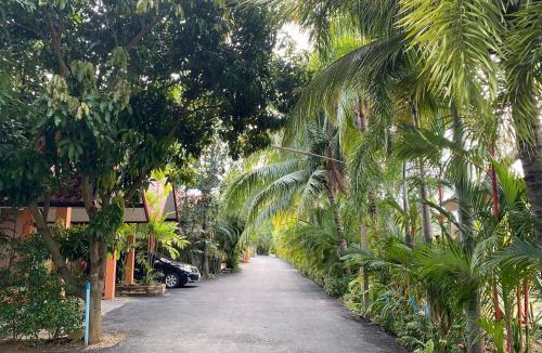 Uttaradit Resort | Baan Suan Palm Resort