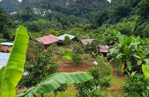 Mae Sai Villa | Baan Suan Pha Mi