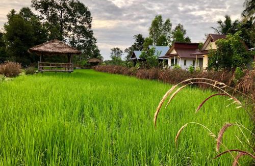 Prasat Resort | Baan Thung Home Stay