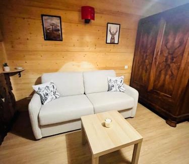 Premanon Apartment | Babaute 7, studio typique au pied des pistes