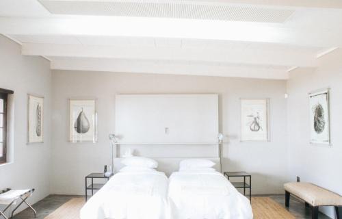 Simondium Hotel | Babylonstoren