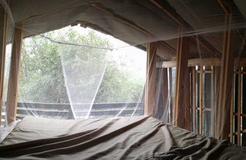 Camporosso House | Back to nature, comfort lodging in an olive grove - a truly unique place to stay