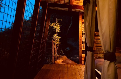 Camporosso House | Back to nature, comfort lodging in an olive grove - a truly unique place to stay