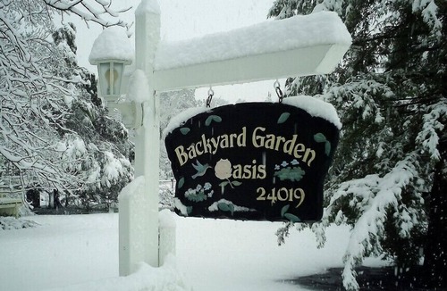Middletown Cottage | Backyard Garden Oasis