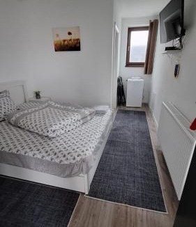 Beclean House | Baile Figa-Terasa Spa Cazare