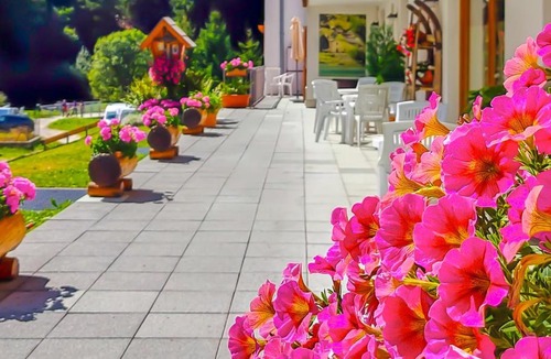 Valtellina Apartment | Baita dei Pini